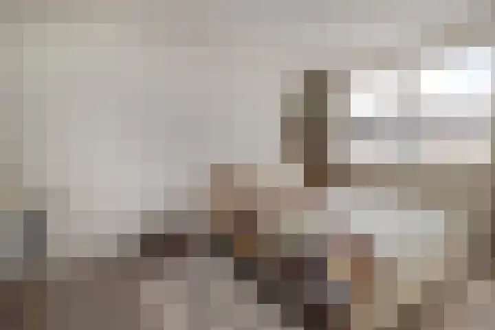 Faunasingel 41 Roermond thumbnail 15