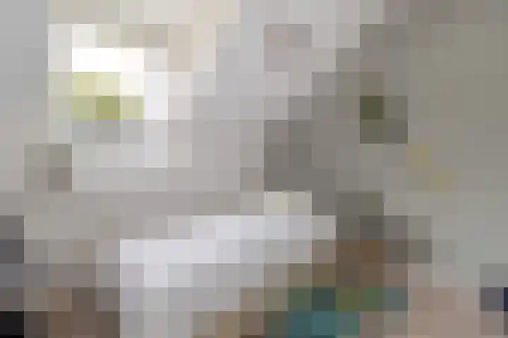 Faunasingel 41 Roermond thumbnail 17