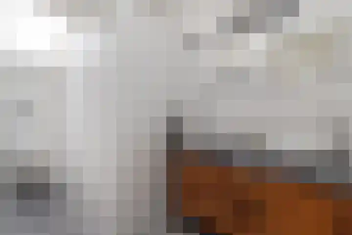 Faunasingel 41 Roermond thumbnail 19