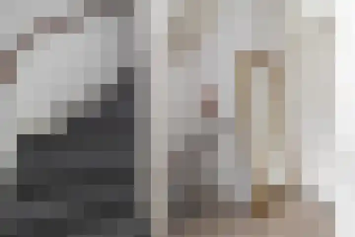 Faunasingel 41 Roermond thumbnail 21