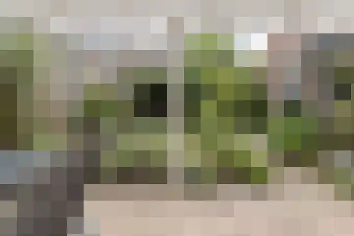 Faunasingel 41 Roermond thumbnail 25