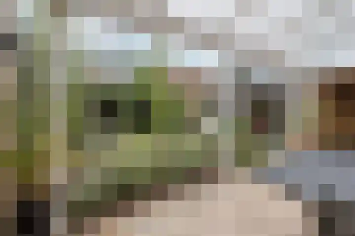Faunasingel 41 Roermond thumbnail 26