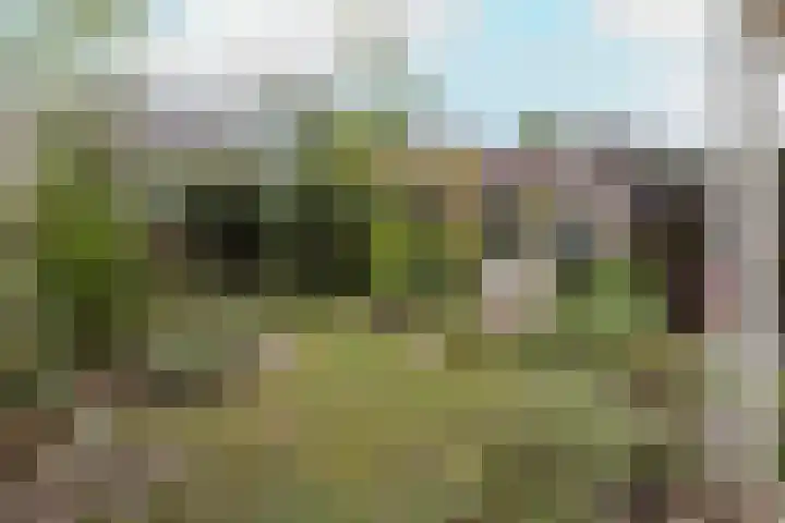 Faunasingel 41 Roermond thumbnail 27