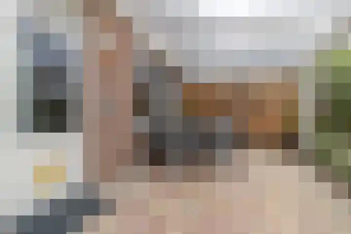 Faunasingel 41 Roermond thumbnail 28