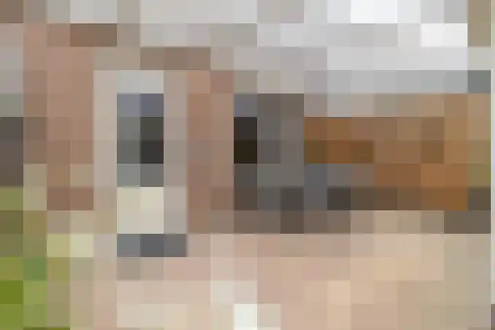 Faunasingel 41 Roermond thumbnail 29