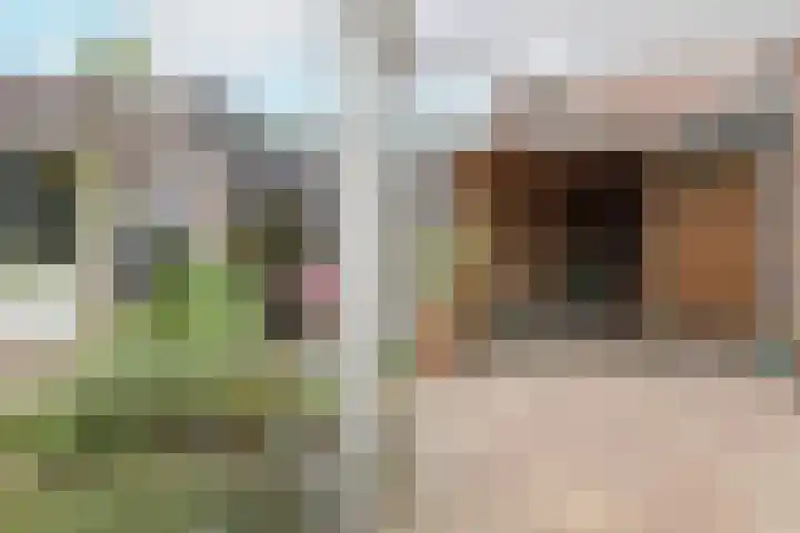 Faunasingel 41 Roermond thumbnail 30