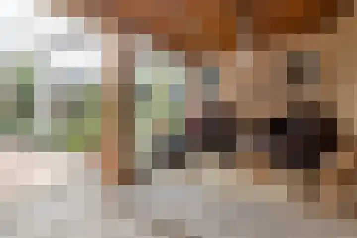 Faunasingel 41 Roermond thumbnail 31