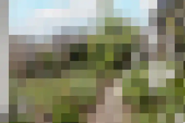 Faunasingel 41 Roermond thumbnail 35