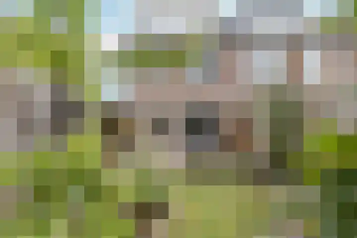 Faunasingel 41 Roermond thumbnail 37