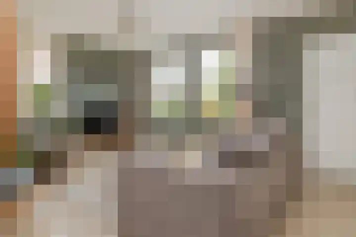 Faunasingel 41 Roermond thumbnail 4