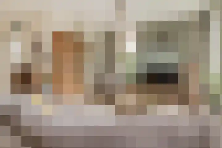 Faunasingel 41 Roermond thumbnail 5