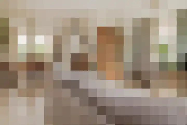 Faunasingel 41 Roermond thumbnail 6