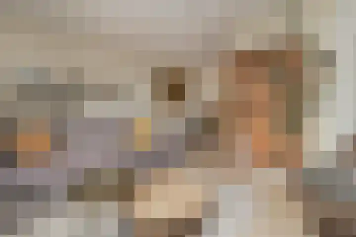 Faunasingel 41 Roermond thumbnail 7