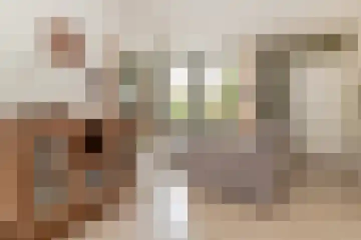 Faunasingel 41 Roermond thumbnail 8