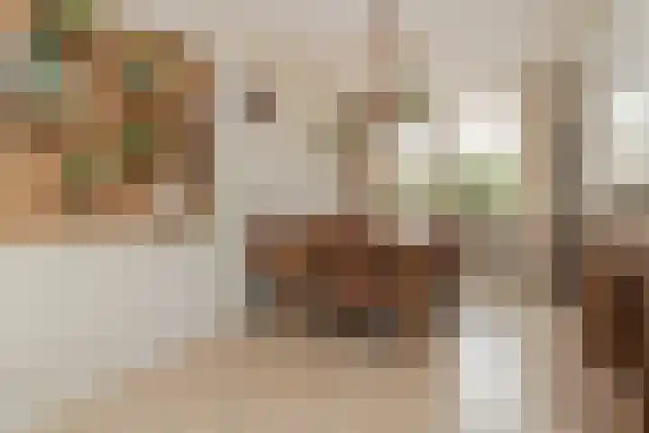 Faunasingel 41 Roermond thumbnail 9