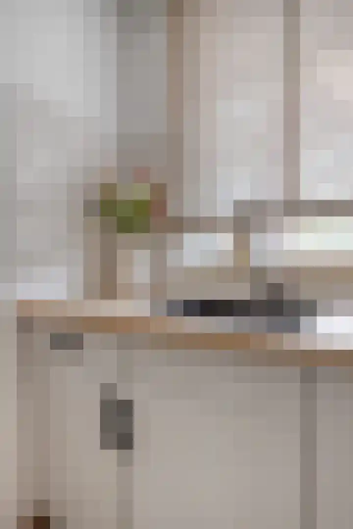 Faunasingel 49 Roermond thumbnail 11