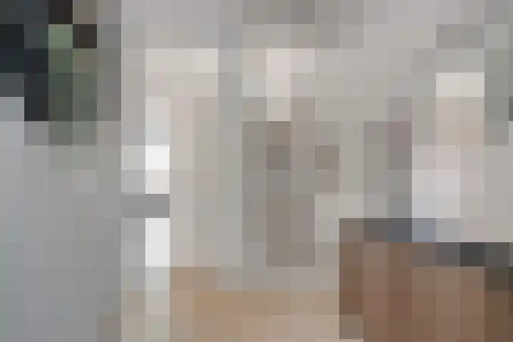 Faunasingel 49 Roermond thumbnail 13