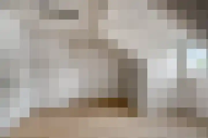 Faunasingel 49 Roermond thumbnail 21