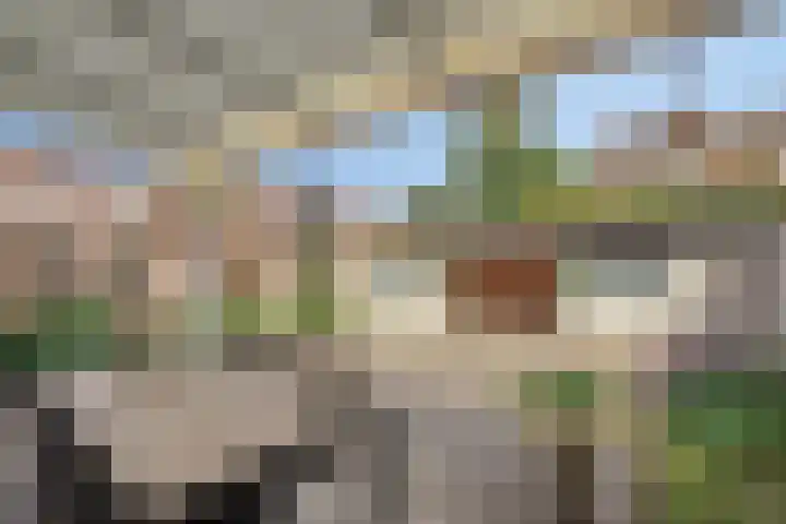 Faunasingel 49 Roermond thumbnail 22