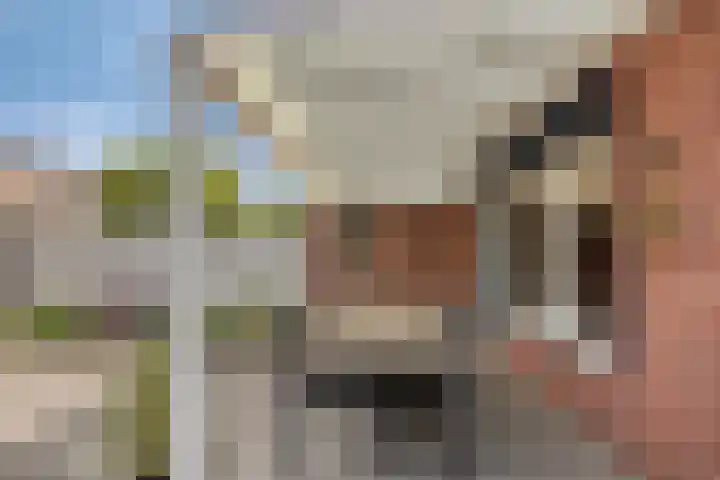 Faunasingel 49 Roermond thumbnail 23