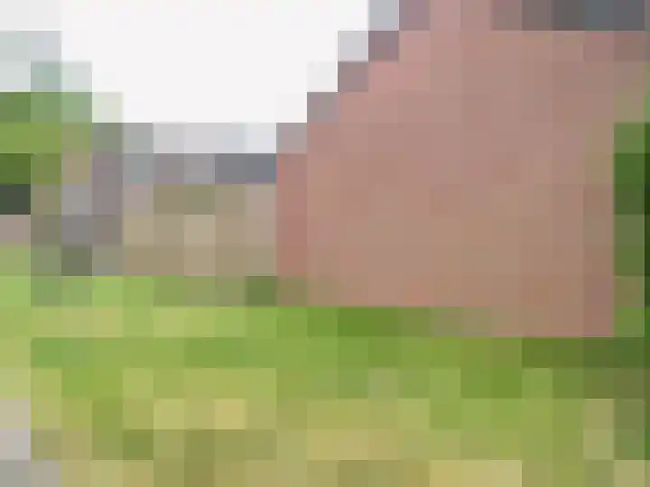 Faunasingel 49 Roermond thumbnail 28
