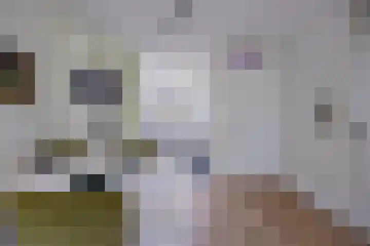 Faunasingel 51 Roermond thumbnail 17