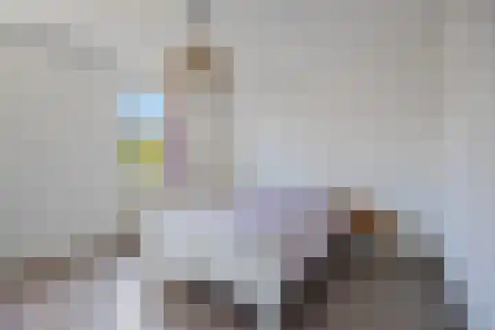 Faunasingel 51 Roermond thumbnail 21