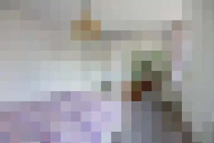 Faunasingel 51 Roermond thumbnail 22
