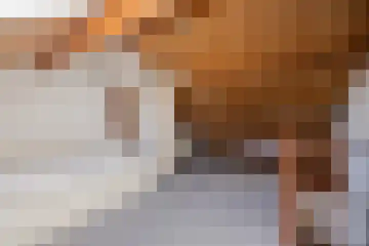 Faunasingel 51 Roermond thumbnail 27