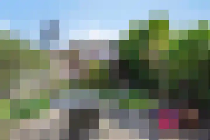 Faunasingel 51 Roermond thumbnail 29