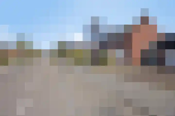 Faunasingel 51 Roermond thumbnail 34