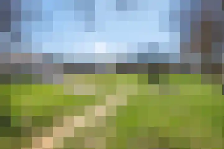 Faunasingel 51 Roermond thumbnail 35