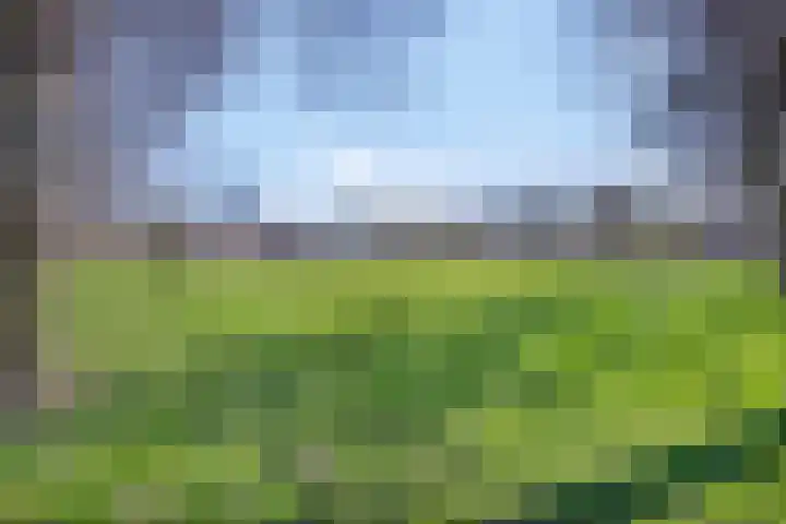 Faunasingel 51 Roermond thumbnail 36