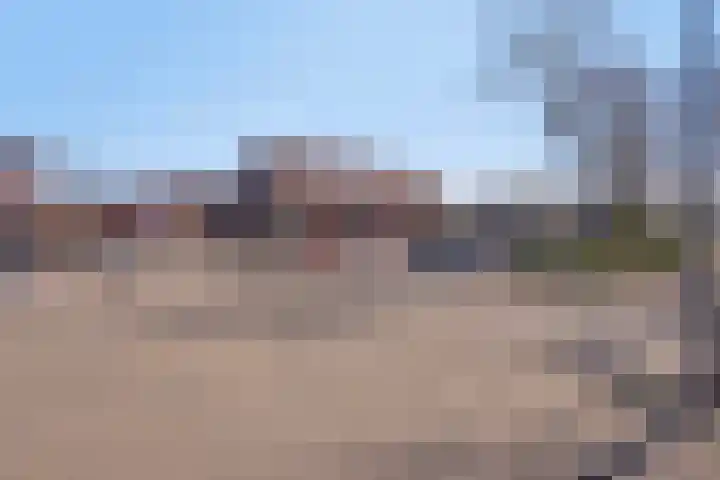 Faunasingel 51 Roermond thumbnail 38