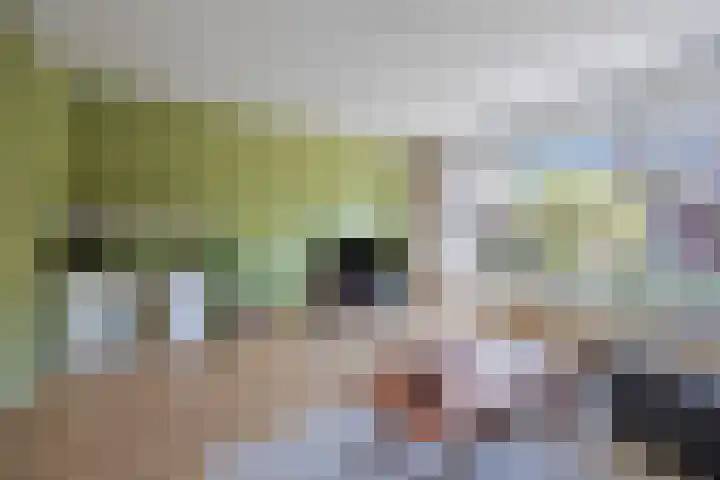 Faunasingel 51 Roermond thumbnail 9