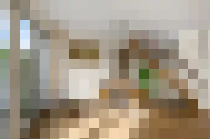 Faunastraat 1 Wormer thumbnail 10