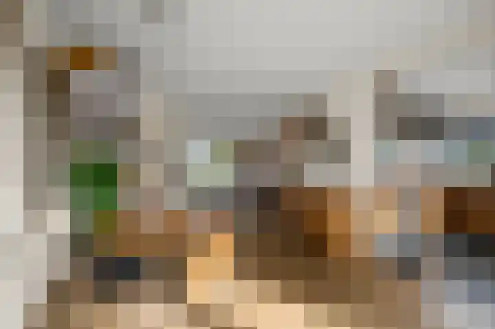 Faunastraat 1 Wormer thumbnail 11