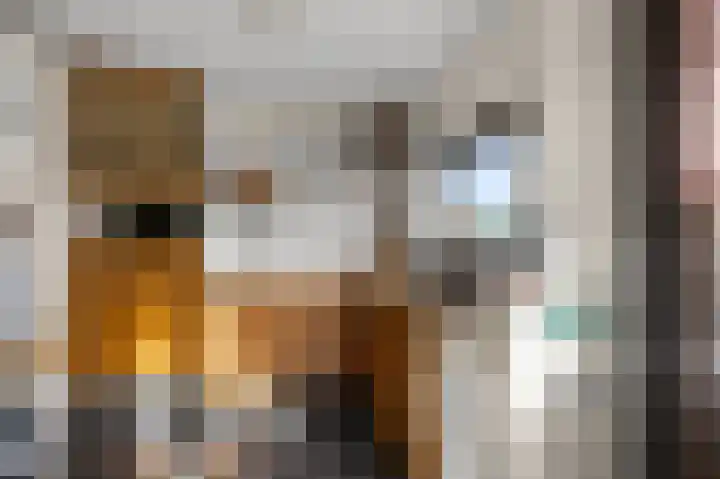 Faunastraat 1 Wormer thumbnail 13