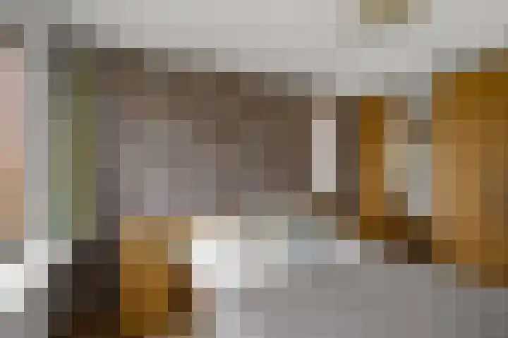 Faunastraat 1 Wormer thumbnail 19