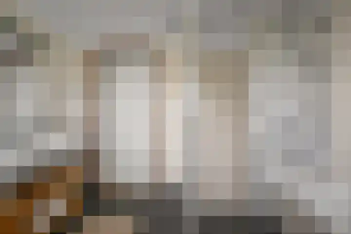Faunastraat 1 Wormer thumbnail 22