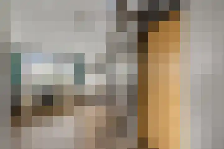 Faunastraat 1 Wormer thumbnail 33