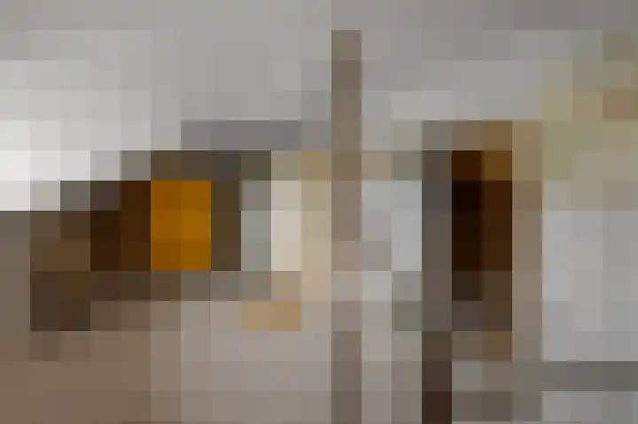 Faunastraat 1 Wormer thumbnail 35