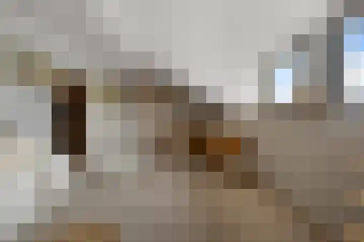 Faunastraat 1 Wormer thumbnail 38