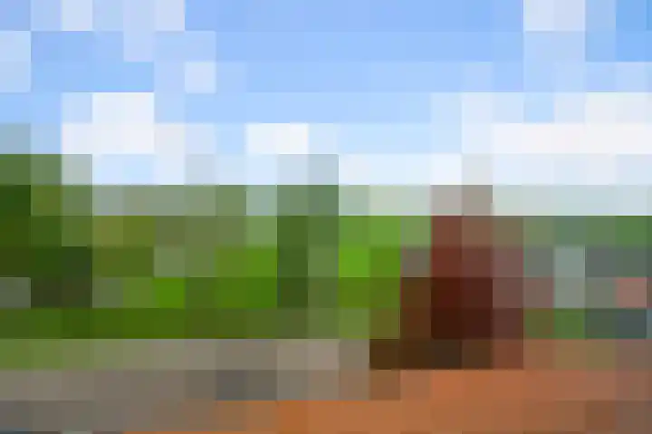Faunastraat 1 Wormer thumbnail 39
