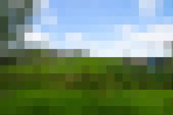 Faunastraat 1 Wormer thumbnail 4