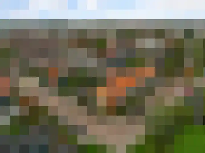 Faunastraat 1 Wormer thumbnail 45