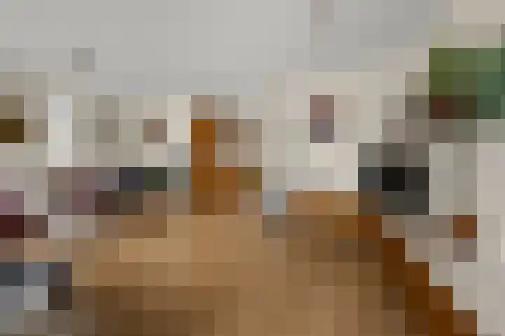 Faunastraat 1 Wormer thumbnail 5