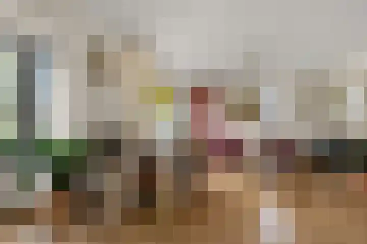 Faunastraat 1 Wormer thumbnail 6
