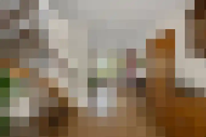 Faunastraat 1 Wormer thumbnail 9