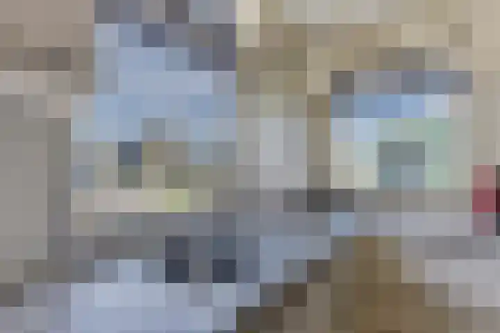 Faunastraat 2 Wormer thumbnail 10